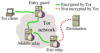 Tor Networking.png